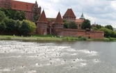 Już w pierwszy weekend września Castle Triathlon Malbork im. Bartosza Kubickiego