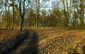 Urząd Miasta pozyskał środki m.in na dokończenie ścieżki pieszo-rowerowej w Parku Północnym