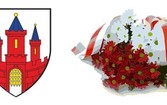 Uroczystości 11 lipca w Malborku