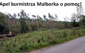 Apel Burmistrza Miasta Malborka o pomoc dla poszkodowanych w ostatniej nawałnicy