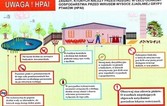 Komunikat Powiatowego Lekarza Weterynarii w Malborku na temat ptasiej grypy