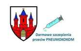 Konkurs ofert na Realizatora/-ów szczepień ochronnych przeciwko zakażeniom pneumokokowym wśród dzieci z terenu miasta Malborka urodzonych w 2016 roku